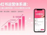 小红书运营体系课:通过大量实战案例拆解0-1000W爆款算法全攻略