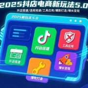 2025抖店电商新玩法5.0：开店搭建/违规规避/工具应用,快速掌握基础运营…