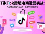 TikTok跨境电商运营实战:从店铺注册到商品上架、直播带货的全流程