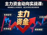 主力资金动向实战课-8月:精准捕捉主力布局信号,建立科学的交易决策体系