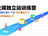 社媒独立站训练营，跑通独立站0-1，3天0基础入门