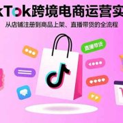 TikTok跨境电商运营实战:从店铺注册到商品上架、直播带货的全流程