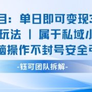 新项目单日即可变现3张的小白玩法无脑操作不封号安全引流