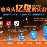 亿级电商头部卖家的实战课程:涵盖多平台玩法,实现从0到亿级规模的跃迁