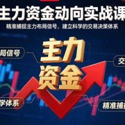 主力资金动向实战课-8月:精准捕捉主力布局信号,建立科学的交易决策体系
