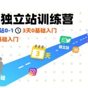 社媒独立站训练营，跑通独立站0-1，3天0基础入门