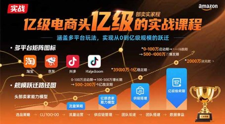 亿级电商头部卖家的实战课程:涵盖多平台玩法,实现从0到亿级规模的跃迁