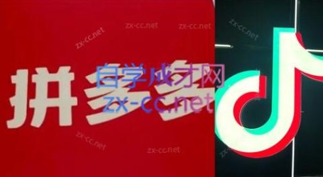 老陶电商·拼多多+抖音小店无货源开店(更新8月)