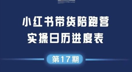 小红书第17期带货陪跑营,不囤货,无不直播,无不投流,通过选品+笔记内容+测品+笔记铺量+矩阵运营打爆款(更新)