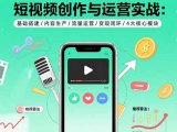 短视频创作与运营实战:基础搭建/内容生产/流量运营/变现闭环/4大核心模块