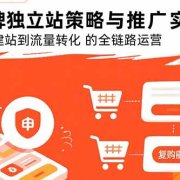 DTC品牌独立站策略与推广实战指南,系统讲解从建站到流量转化的全链路运营