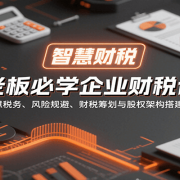 老板必学企业财税课：智慧税务、风险规避、财税筹划与股权架构搭建指南
