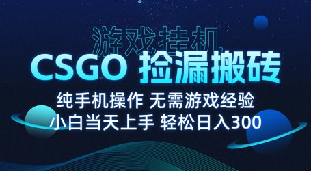 8月最新游戏搬砖,CSGO纯挂机,不需要玩游戏,实现真挂机,月入1W+