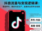 抖音流量与变现逻辑课:覆盖养号、爆款内容生产、直播间运营等全链路