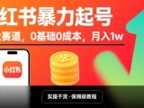 小红书暴力起号，小众赛道，0基础0成本，月入1w