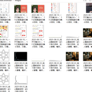『高端精品』最新公主号无水印下载工具,图片 视频 音频 无脑小白一键下载