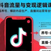 抖音流量与变现逻辑课:覆盖养号、爆款内容生产、直播间运营等全链路
