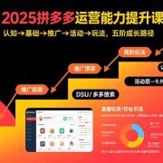 2025拼多多运营能力提升课:认知→基础→推广→活动→玩法,五阶成长路径