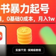 小红书暴力起号，小众赛道，0基础0成本，月入1w