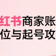 大晴老师·小红书电商全链路实战从定位到爆单(更新8月)