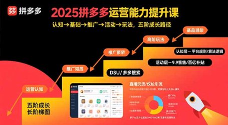 2025拼多多运营能力提升课:认知→基础→推广→活动→玩法,五阶成长路径