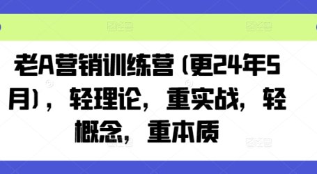 老A营销训练营(更25年8月),轻理论,重实战,轻概念,重本质