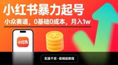 小红书暴力起号，小众赛道，0基础0成本，月入1w