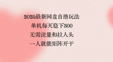 2025最新网盘自撸玩法,单机每天稳下3张,无需流量和拉人头,一个人就可轻松矩阵,全网独一份【揭秘】