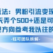 邪修玩法：男粉引流变现新玩法每天弄个5张还是可以的变现方向参考我以往的内容