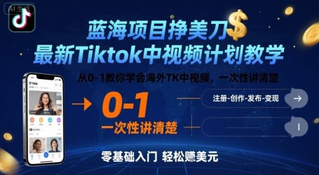 蓝海项目挣美刀，最新Tiktok中视频计划教学，从0-1教你学会海外TK中视频，一次性讲清楚