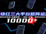 抖快红三大平台矩阵运营，12小时SOP实战+流量获取-风控-扩量，月引10000+线索