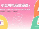 小红书电商效率课：从账号搭建到变现，以养号-选品-内容-运营为核心链路