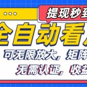 全自动看广告项目,可无限放大,可矩阵批量操作
