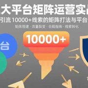 三大平台矩阵运营实战:掌握月引流10000+线索的矩阵打法与平台合规策略
