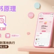 小红书原理以及详细实操流程,小红书电商教程