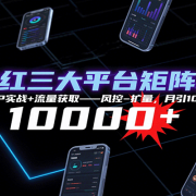 抖快红三大平台矩阵运营，12小时SOP实战+流量获取-风控-扩量，月引10000+线索