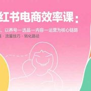 小红书电商效率课：从账号搭建到变现，以养号-选品-内容-运营为核心链路