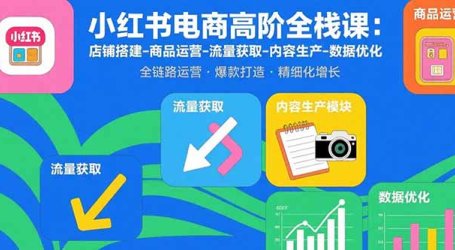 小红书电商高阶全栈课：店铺搭建-商品运营-流量获取-内容生产-数据优化
