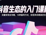 抖音生态的入门课程：流量变现全攻略，16种盈利方式，标签体系精准定位
