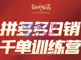 白凤电商·拼多多日销千单训练营(更新8月)