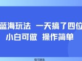 小众蓝海玩法 一天搞了四位数 小白可做 操作简单