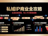 私域IP商业全攻略,从定位到变现,年入千万落地指南