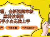 0门槛，全新视频审核黑科技项目，新手小白无脑上手5秒闭眼出单，不限单…