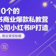 月入10个的小红书商业爆款私教营，一人公司小红书IP打造，爆款笔记，商业变现秘籍