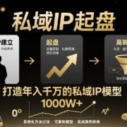 私域IP起盘,私域ip建立、起盘、高转化,打造年入千万的私域ip模型