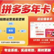 拼多多年卡【8月更新6节】拼多多全链路运营底层逻辑，超级爆单术