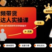 短视频带货超级达人实操课，素人也可以从0到1成为短视频带货领域操盘手