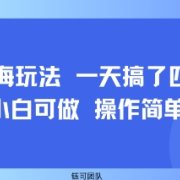 小众蓝海玩法 一天搞了四位数 小白可做 操作简单