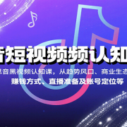 抖音短视频认知课,从趋势风口、商业生态到赚钱方式、直播准备及账号定位等