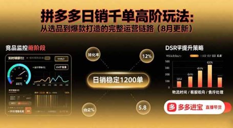 拼多多日销千单高阶玩法:从选品到爆款打造的完整运营链路(8月更新